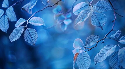 Blue plant leaves in fall season: a stunning nature photography with blue background