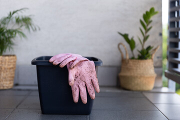 gloves in the ground next to the pot, growing flowers, herbs and vegetables at home in a pot