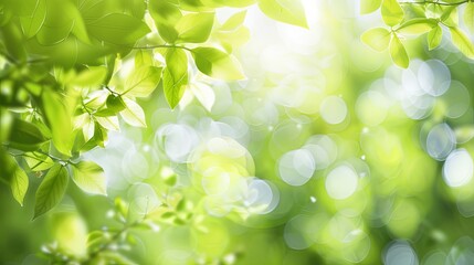 Glowing blurred light green background, creative design for spring and summer season 