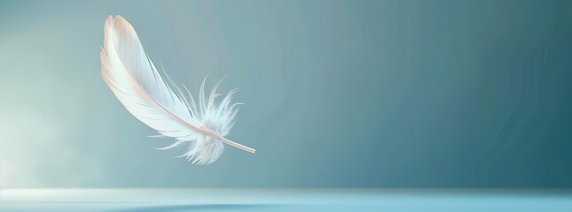 Obraz premium One feather falling against a soft blue background