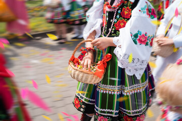 Girls in traditional Polish regional costumes throw flower petals during Łowicz Corpus Christi procession. Motion blur, movement
