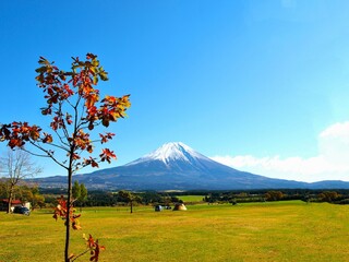 朝霧高原と冠雪の富士山、冠雪の富士山とキャンプ場