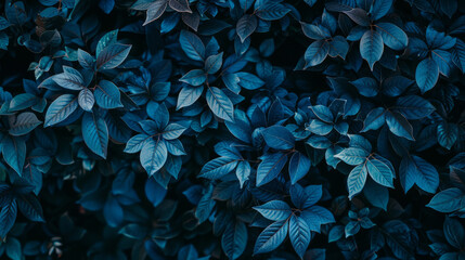 Dark teal leaves in a dense botanical backdrop