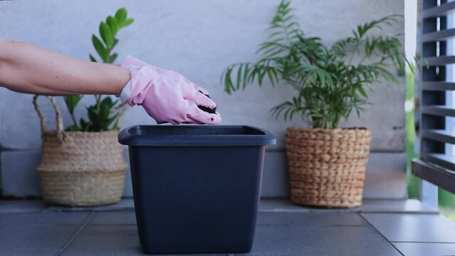 hands holding fresh soil against the background of a pot, replanting flowers, growing herbs and vegetables at home in a pot. Home agro farm