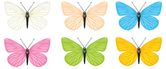 Six vibrant butterflies in various colors