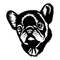 French Bulldog Puppy - Funny Dog, Vector File, Cut Stencil for Tshirt