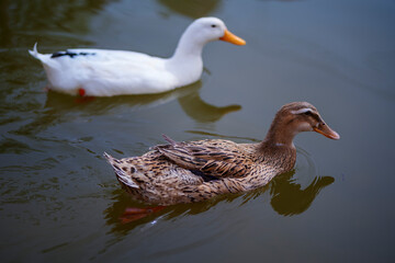 A Taste of Lanzhou - Yantan Park
