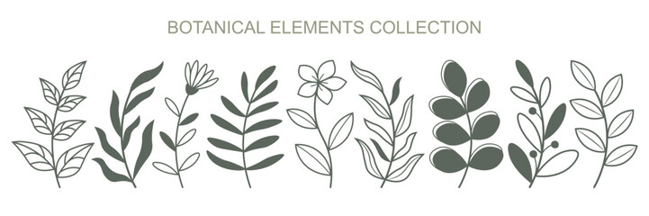 Set of botanical elements isolated on white background. Vector twigs with leaves and flowers.
