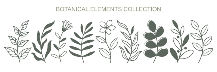 Fototapeta premium Set of botanical elements isolated on white background. Vector twigs with leaves and flowers.