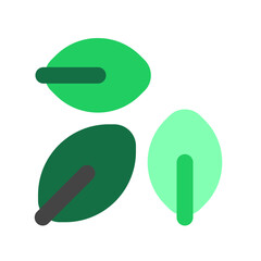 Editable plant seeds, leaves vector icon. Gardening, landscaping, horticulture. Part of a big icon set family. Perfect for web and app interfaces, presentations, infographics, etc