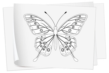 Black and white butterfly on a white background