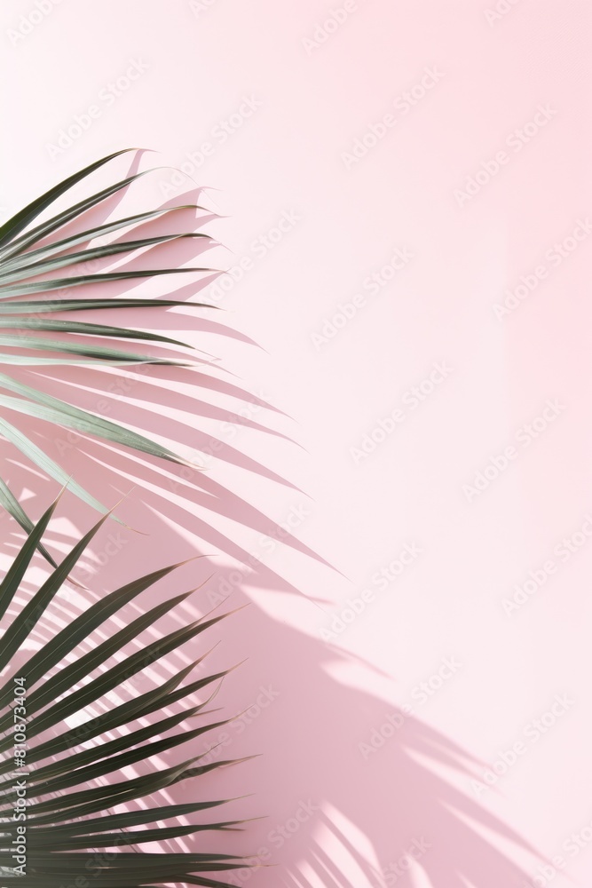 Poster a palm tree with its leaves spread out on a pink background. the image has a calm and serene mood, w