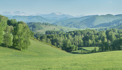 Fototapeta na wymiar View of a summer day in the mountains, green meadows, mountain slopes and hills, countryside 