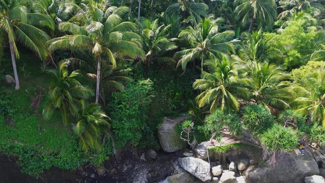 Aerial view of Pangasan beach in Pacitan, East Java, Indonesia