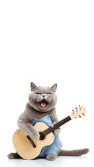 British shorthair gray cat singing and playing a guitar while sitting on ground phone wallpaper background