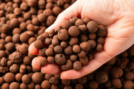 lightweight expanded clay aggregate LECA little balls of clay used in place of soil for houseplants as background