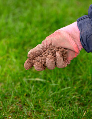 gardener applying sharp horticultural sand on grass lawn organic spring garden job