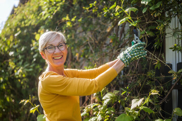 Happy senior woman gardening. She is pruning plants.	