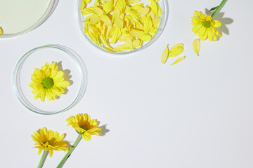 Calendula flower and laboratory concept on white flat, photo for advertise natural product made...