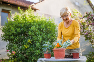 Happy senior woman gardening in her yard. She is planting flowers.	