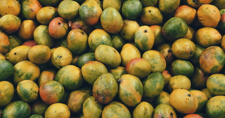 Mango Background. Ripe Fruit Backdrop. Tropical Delicious healthy Snack. Harvest Time Autumn Conception