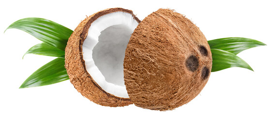 Delicious halved coconut, cut out