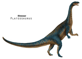 Plateosaurus illustration. Dinosaur with long neck and tail. Blue, beige dino