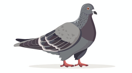 Gray pigeon flat vector illustration. Cute bird with