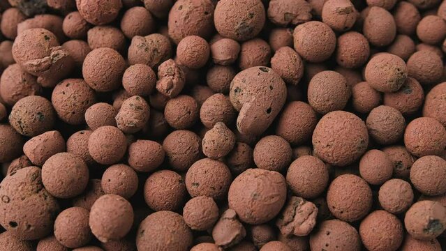 lightweight expanded clay aggregate LECA little balls of clay used in place of soil for houseplants as background