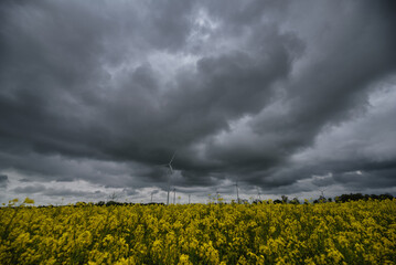 WIND FARM AND FORECAST - Dramatic black rain clouds over windmills

