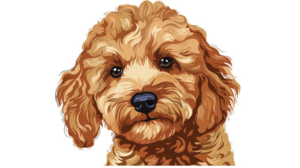 head of cute poodler dog on white background Vector illustration