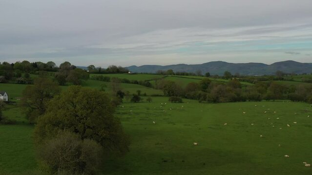 Aerial view of farm fields with hedge rows and trees landscape of England and Wales taken from drone UK 4K