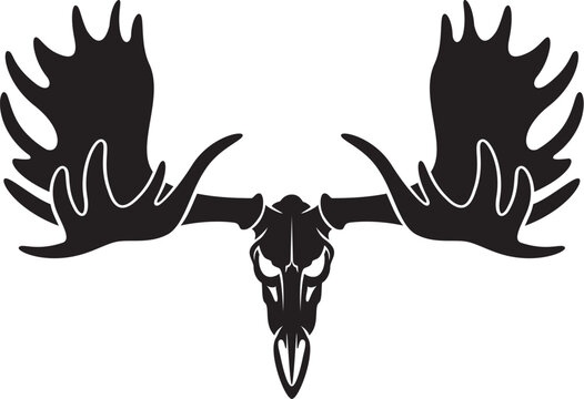 vector moose elk bull skull with antlers	