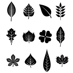 set of leaves silhouettes