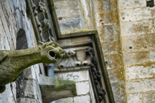 Particolari di una cattedrale francese