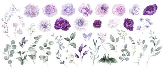 Violet flower isolated. Watercolor floral set. Purple, mauve, lilac, lavender flowers and greenery collection for wedding invitation, greeting card, print design © Nataliya Kunitsyna