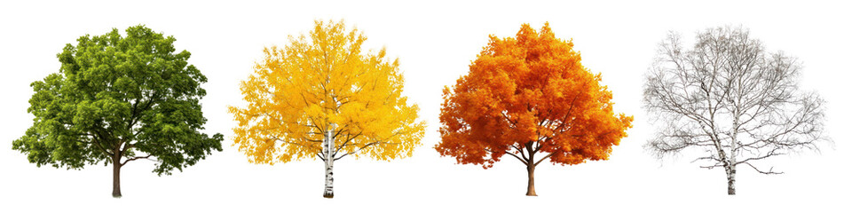 Season trees png cut out element set