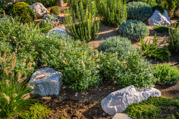 Backyard with fantastic landscaping, patio, drought resistant plants