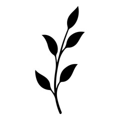 Hand drawn leaf of walnut tree. Vector illustration.