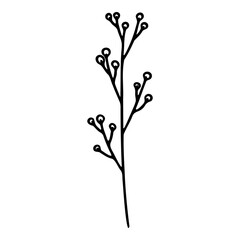 Sketch of silhouette of a branch with a flower. Vector illustration.