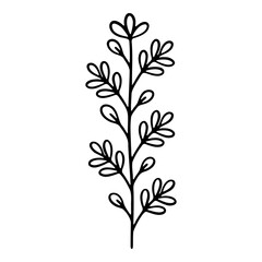 Hand drawn silhouette of phlox flower. Vector illustration.