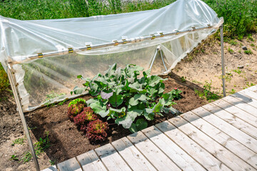DIY plastic greenhouse or foil greenhouse for food production for small gardens, cold weather...
