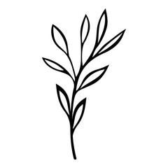 Hand drawn leaf of rhododendron tree. Vector illustration.