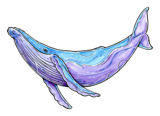 Gouache and Ink Humpback Whale isolated Illustration 