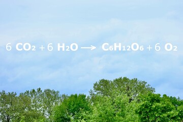 Photosynthese Gleichung mit Faktoren für Chemie und Biologie in grünem Wald vor blauem Himmel...