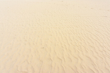 Sand on beach as background