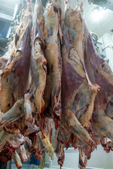 Hooked cattle carcasses in the giant refrigerator at the slaughterhouse.