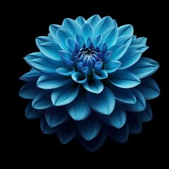 Ethereal Midnight Bloom: A Macro Shot of a Luminous Blue Dahlia Against a Dark Backdrop