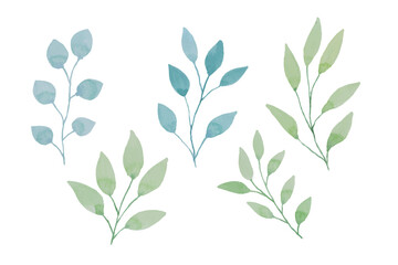 Fototapeta premium Assortment of watercolor leaves illustration set - green leaf branches collection for wedding, greetings, stationary, wallpapers, fashion, background. olive, green leaves, Eucalyptus etc