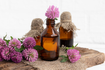 tincture of clover flowers (Trifolium) in a glass bottle. Traditional medicine, the collection of useful herbs. Alternative medicine